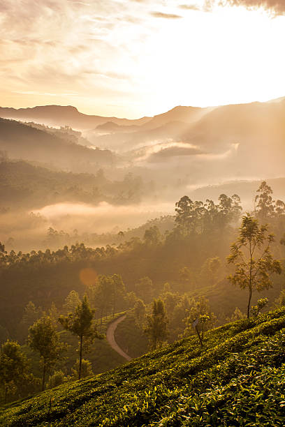 istock Majestic Sunrise Over The Mountains 537378380