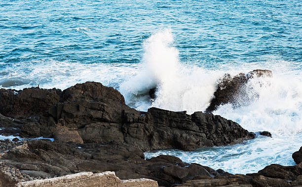 istock Beach landscape in Malibu. 537381598