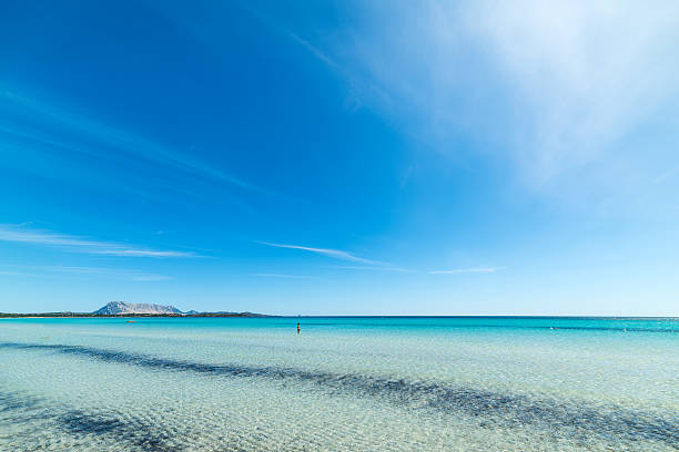 istock La Cinta beach with Tavolara island in the background 537381724