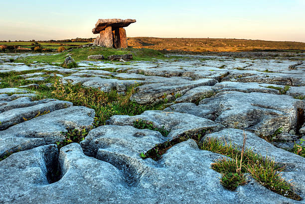 Poulnabrone dolmen Poulnabrone dolmen in Co. Clare, Ireland.  the burren photos stock pictures, royalty-free photos & images