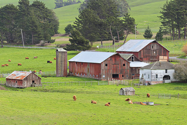 istock Rural Marin County - California 537383866