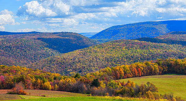 istock Kentuck Knob - Western Pennsylvania 537384169
