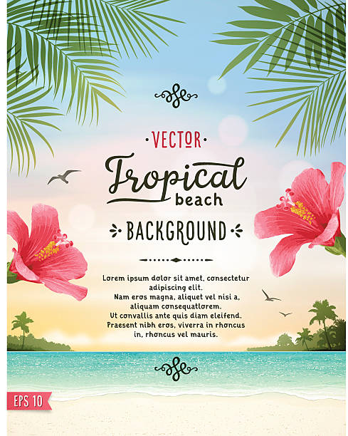 Tropical Beach Background Tropical summer vacation background with tranquil sea, hibiscus, white sand beach, islands, palm trees, palm leaves and text.File is layered with global colors.Only gradients and blur(clouds) used.Hi res jpeg without text included.Fonts used: Jack and Zoe Font Collection. More works like this linked below. island vacation stock illustrations