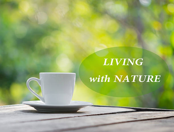istock white  coffee cup on wooden table, living with  nature alphabet 537386624
