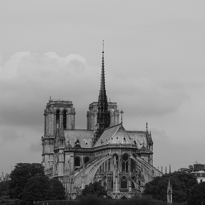 Notre Dame Catherdral, Paris 