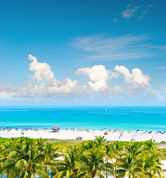 istock Blue sky, turquoise water, palm trees. Miami Beach, Ocean Drive 537387265