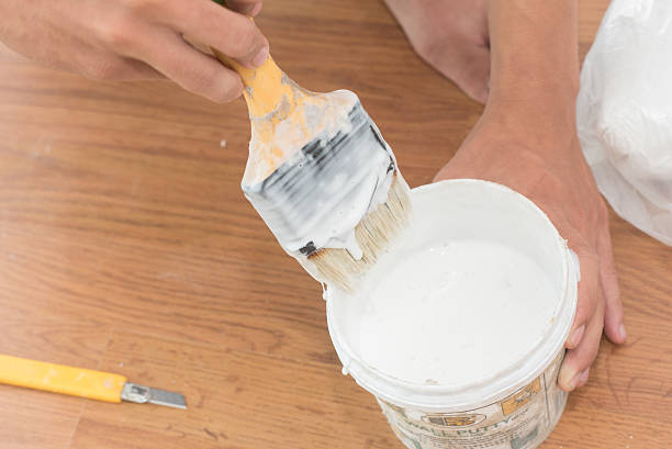 istock handyman painting on the wall 537387782