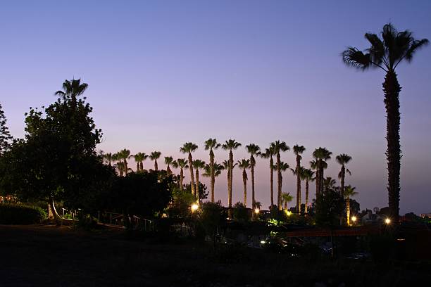 istock evening view of the coast 537388514
