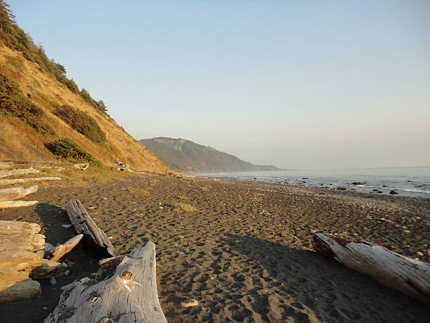 istock Backpacking lost coast in California 537388569