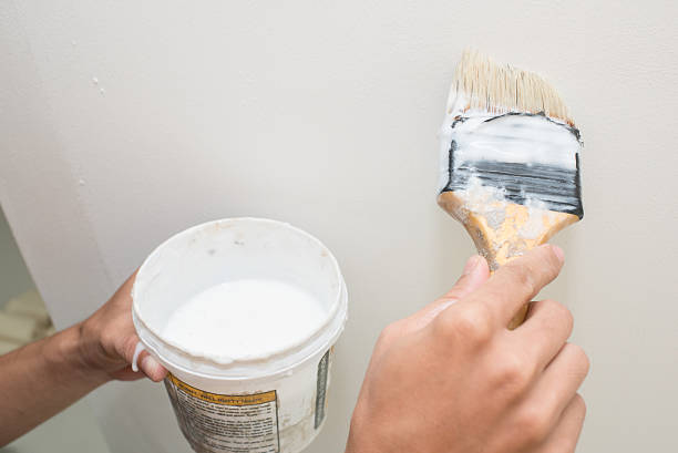 istock handyman painting on the wall 537388896
