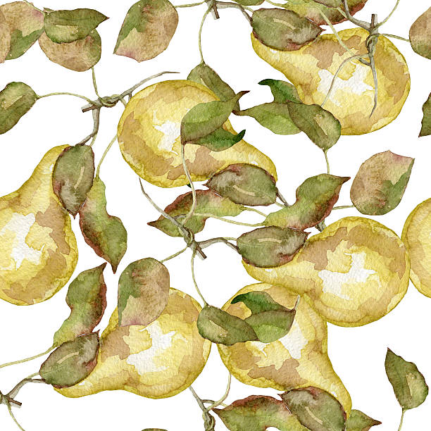 istock Seamless pattern of pears watercolor 537388918