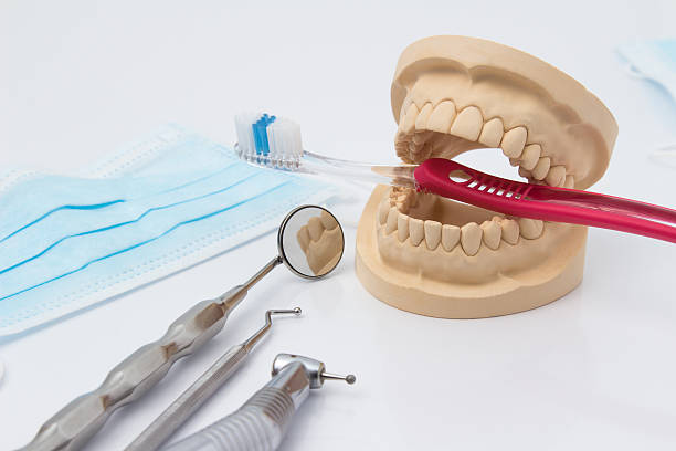 istock Open dental mold of teeth with implements 537389563