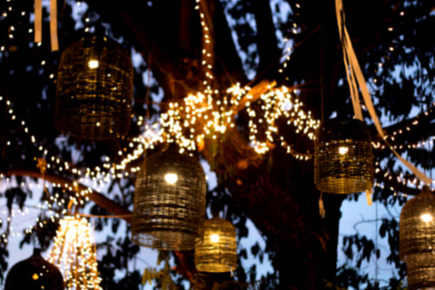 lamp decoration garden on tree at night time