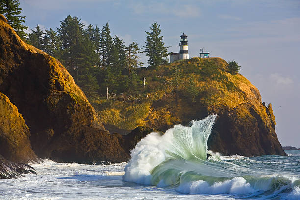Cape Disappointment Lighthouse Ilwaco, USA October 12, 2011: Cape Disappointment Lighthouse on bluff above crashing wave Surf waves lighthouse bluff cape disappointment stock pictures, royalty-free photos & images