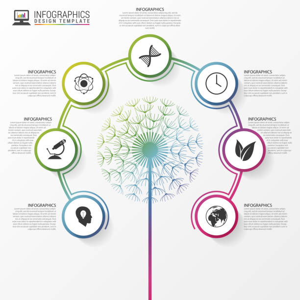 Ecology concept. Infographic modern design template. Vector Ecology concept. Infographic modern design template. Vector illustration dandelion clock stock illustrations