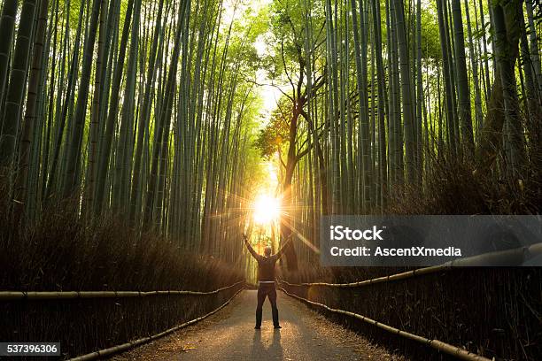 Concept Of Success In A Natural Setting Stock Photo - Download Image Now - Footpath, Nature, Aspirations