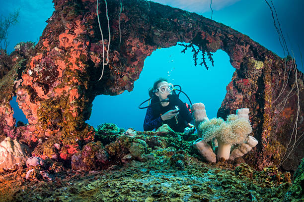 Shipwreck dive - Palau, Micronesia A female diver exploring the wreck Teshio Maru a Japanese Army Cargo Ship with 321 feet (98) on it's length, and was built in 1942-1944. The Teshio is one of the fishiest wrecks in Palau palau stock pictures, royalty-free photos & images