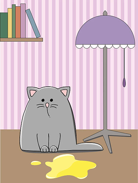 kitten pool sad grey kitten in a room near a yellow pool grey hair on floor stock illustrations