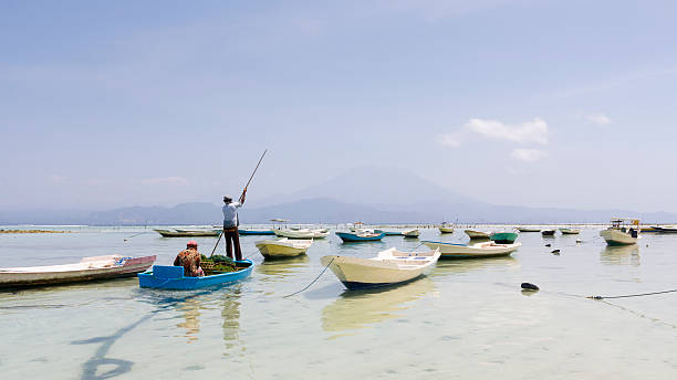 ski carrying eine seetang harvest in nusa lembongan - seaweed nusa lembongan seaweed farming water stock-fotos und bilder