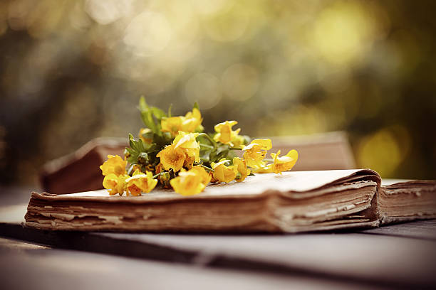 istock Old open book and bouquet of buttercups. 537406190