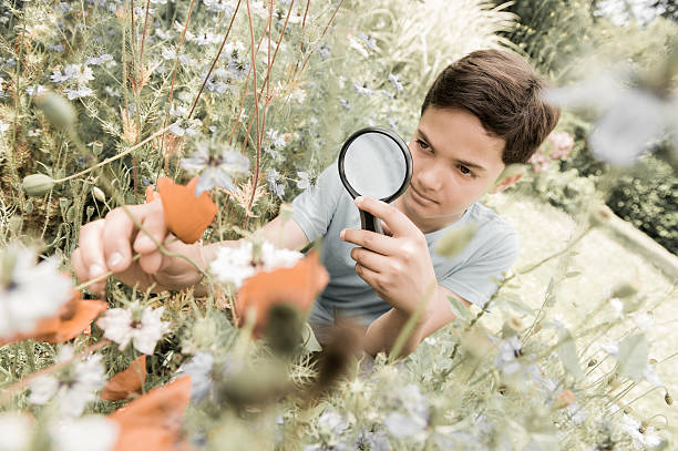 istock Boy looking at flower through magnifying glass 537409458