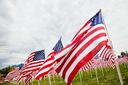 American flags in a row waving on a windy day.