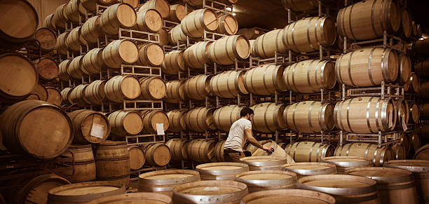 istock Wine barrels stacked in cellar, Bordeaux Vineyard 537409892