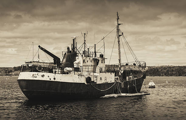 istock Longing for the Sea 537410348