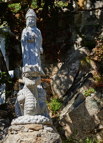 Buddha statue standing on dragon in shade of the trees