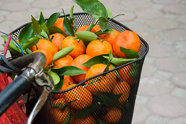 istock Mandarines in bicycle basket 537418606
