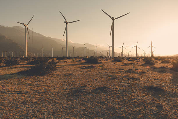 istock Golden Palm Springs 537419808