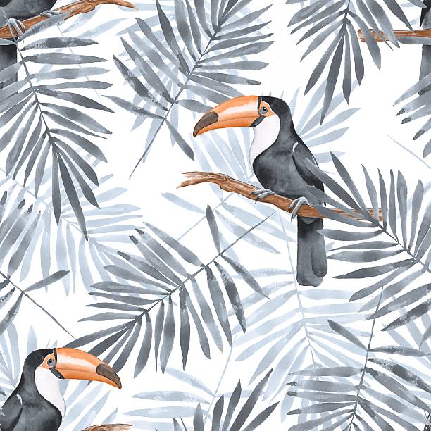 ilustrações, clipart, desenhos animados e ícones de folhas de palmeira e tucano. aquarela padrão perfeito 2 - beauty in nature birds nature backgrounds wild animals