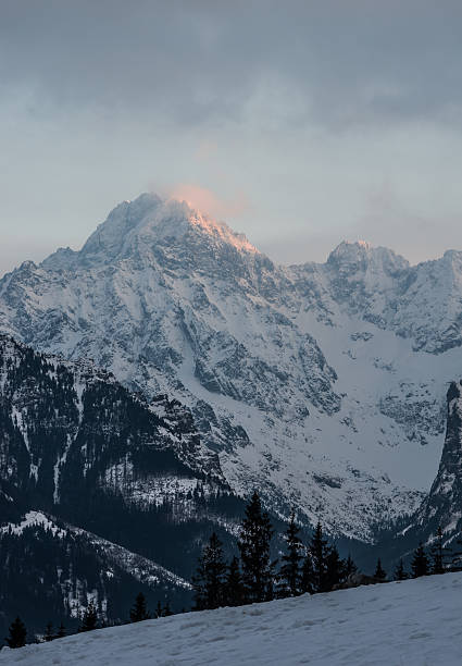 istock Gerlach - highest peak in Tatra mountains in the winter evening 537420940