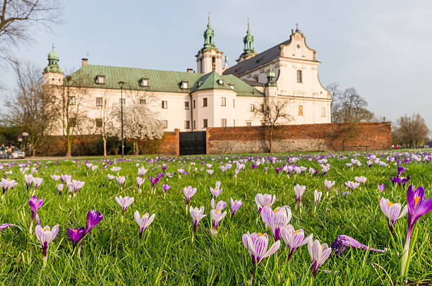 istock Crocuses and Skalka monastery, Krakow, Poland - focus on flowers 537421282