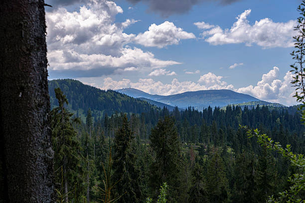 istock Transylvania mountains landscapes 537422790