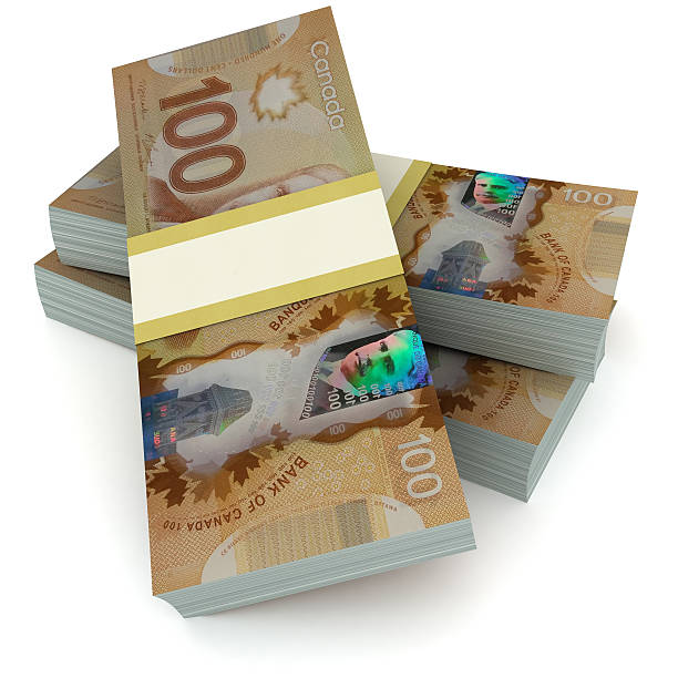 istock Canadian money concept 537423036
