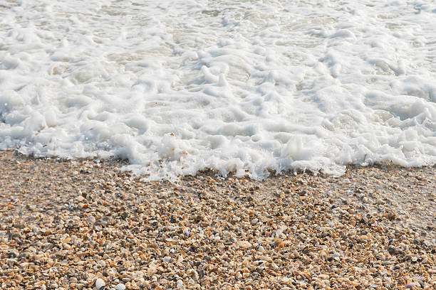 istock Wave of the sea on the seashell beach 537424460