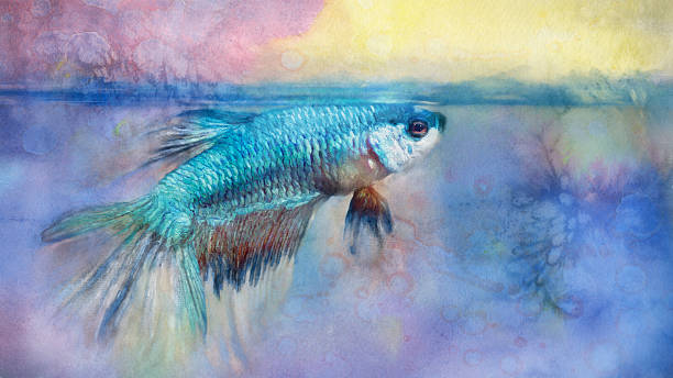 Colorful Watercolor paint effect, dragon beta Fighting fish
