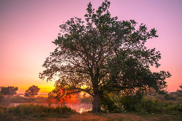 istock Amazingly colorful sunset 537433691