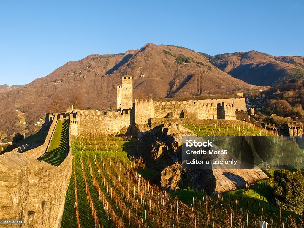 Bellinzona, walled of Castelgrande Bellinzona, Switzerland - december 20, 2014: along the pedestrian path of the castles of Castelgrande, Montebello, Sasso Corbaro. At the foot of the castle a vineyard in winter illuminated by the evening light. 2015 Stock Photo