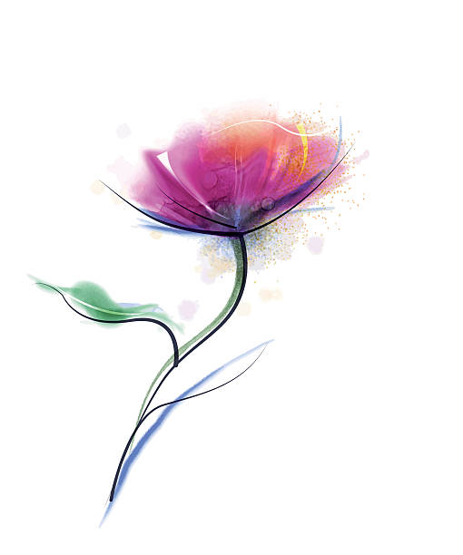 illustrations, cliparts, dessins animés et icônes de vecteur aquarelle de fleurs sur fond blanc - rose single flower flower stem