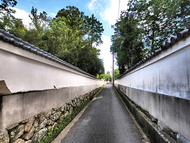 istock Small street  in  Nara 537435439