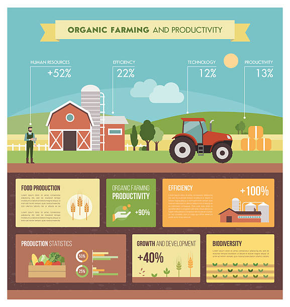 Organic farming Organic farming and industrial food production infographic with icons and text, country landscape with farm, fields and tractor garden tractor stock illustrations