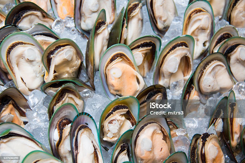 Photo of Mussel  seafood on ice A Photo of Mussel  seafood on ice Backgrounds Stock Photo