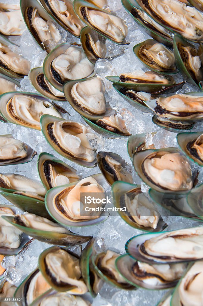 Photo of Mussel  seafood on ice A Photo of Mussel  seafood on ice Backgrounds Stock Photo