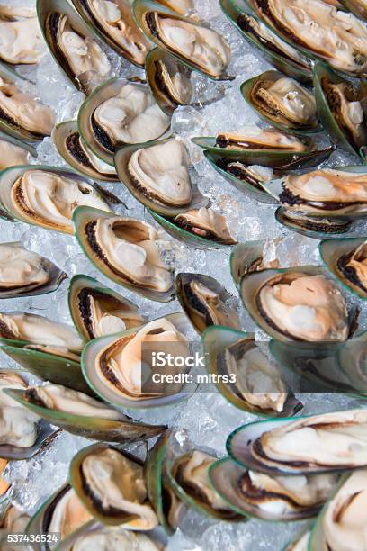 Photo Of Mussel Seafood On Ice Stock Photo - Download Image Now - Backgrounds, Boiled, Cooked