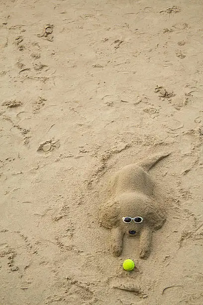 Sand sculpture of a dog wearing cool sunglasses and played with a tennis ball.