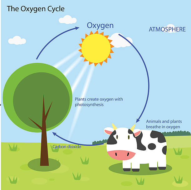 201 Carbon Dioxide Breath Illustrations & Clip Art - iStock 201 Carbon Dioxide Breath Illustrations & Clip Art - iStock