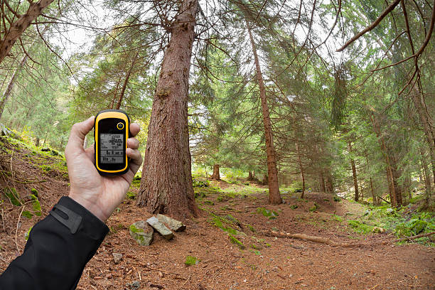 istock finding the right position in the forest via gps 537438480
