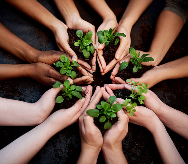 istock Don't grow apart, grow together 537439476
